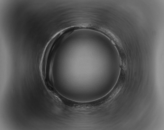 X0000087700532200705111405