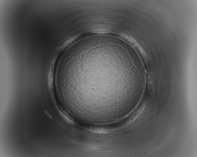 X0000087700533200705111405