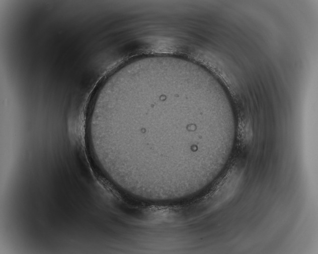 X0000087700534200705111405