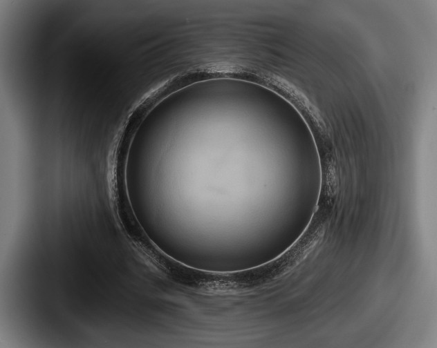 X0000087700535200705111405