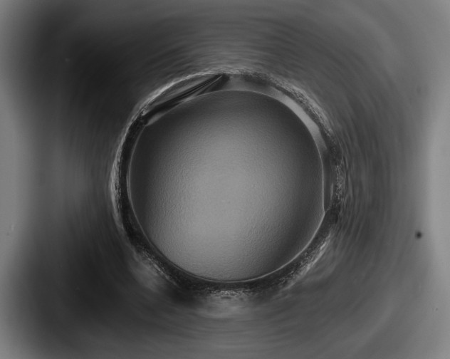 X0000087700536200705111405