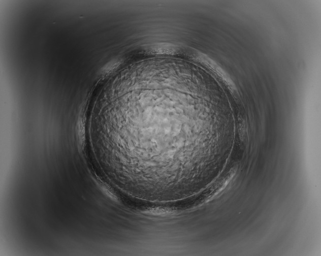 X0000087700537200705111405