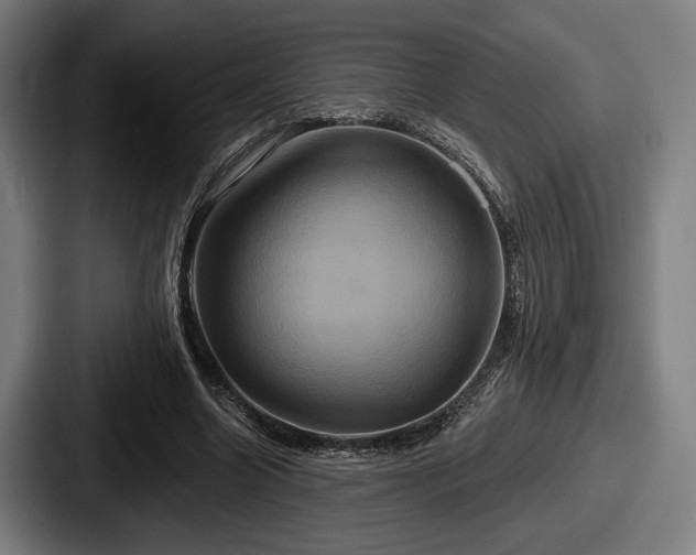 X0000087700538200705111405