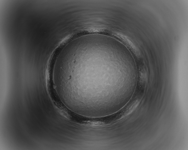 X0000087700539200705111405