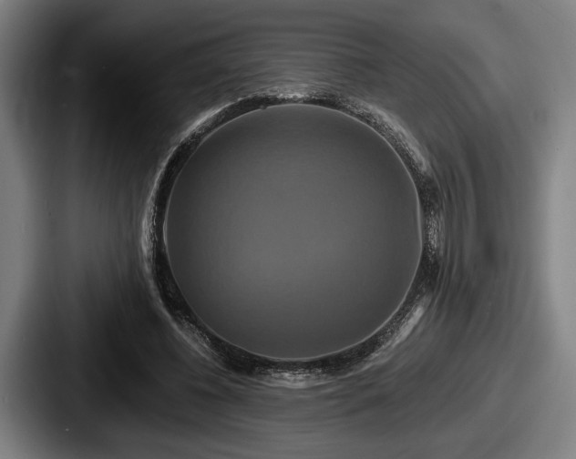 X0000087700540200705111405