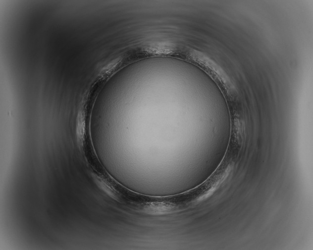 X0000087700541200705111405