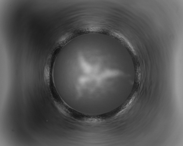 X0000087700542200705111405