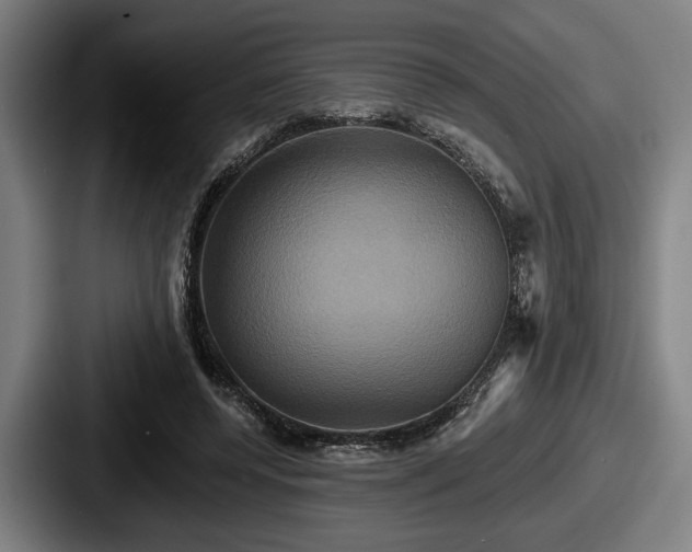 X0000087700544200705111405