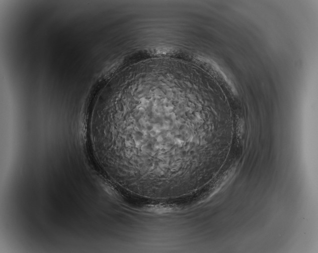 X0000087700545200705111405