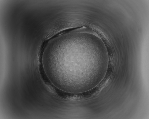 X0000087700546200705111405