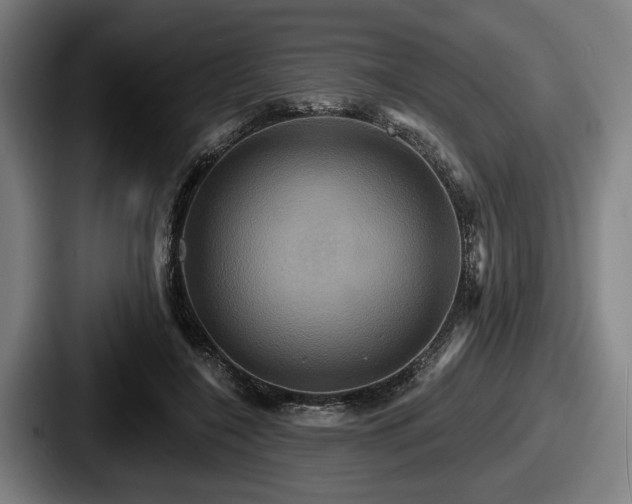 X0000087700548200705111405