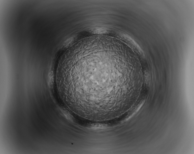 X0000087700549200705111405