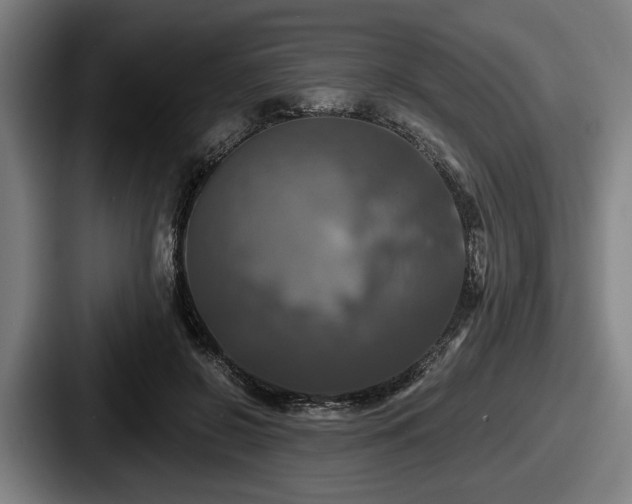 X0000087700550200705111405