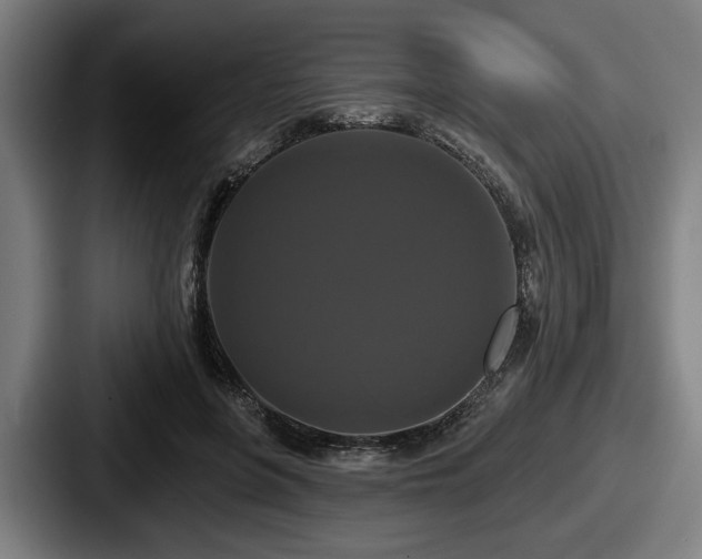 X0000087700551200705111405