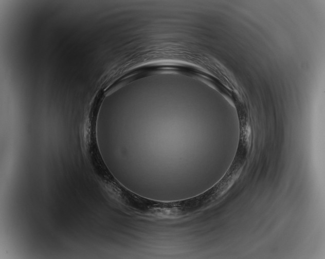 X0000087700552200705111405