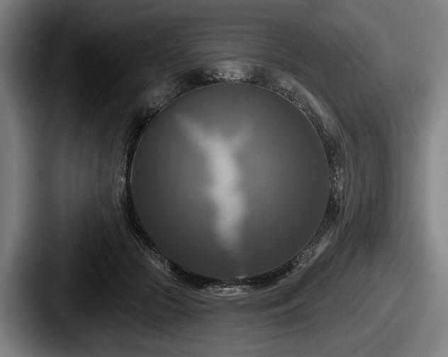 X0000087700553200705111405