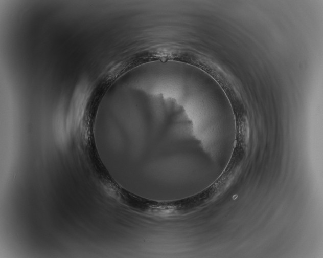 X0000087700554200705111405