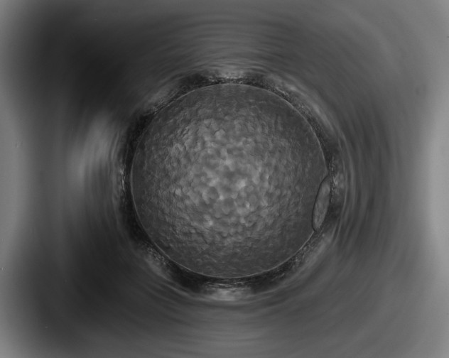 X0000087700555200705111405