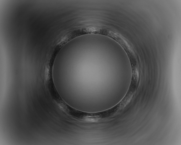 X0000087700556200705111405