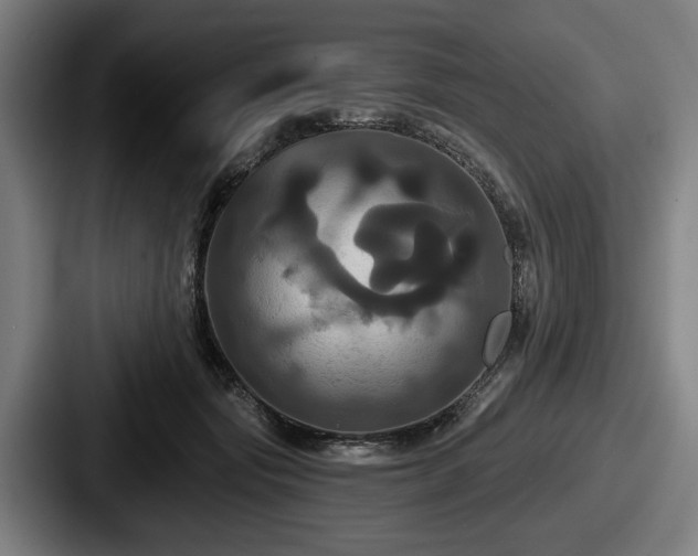 X0000087700557200705111405