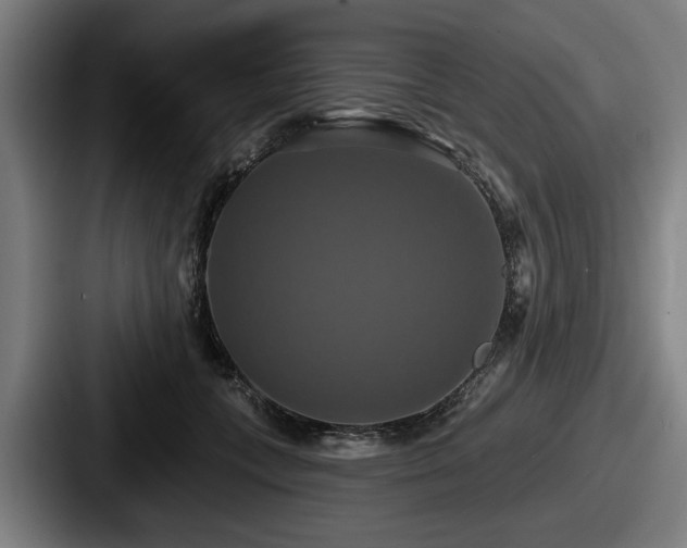 X0000087700559200705111405