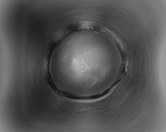 X0000087700560200705111405