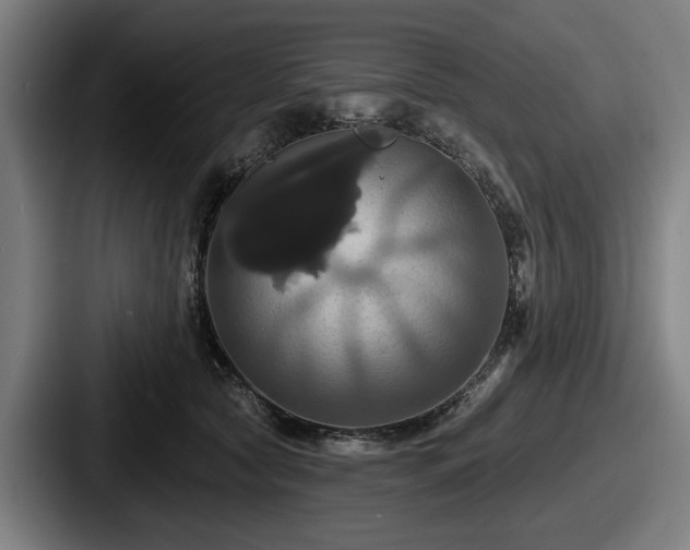 X0000087700561200705111405