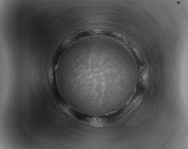 X0000087700562200705111405