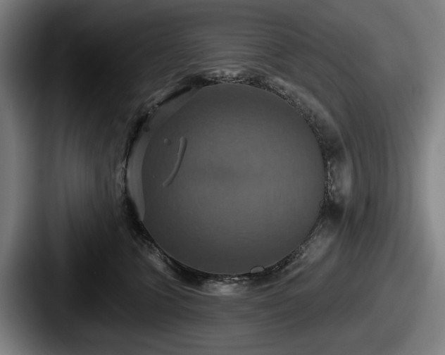 X0000087700563200705111405