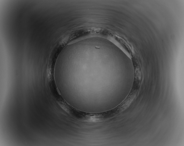 X0000087700564200705111405