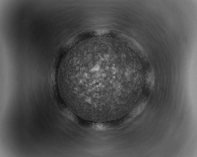 X0000087700565200705111405