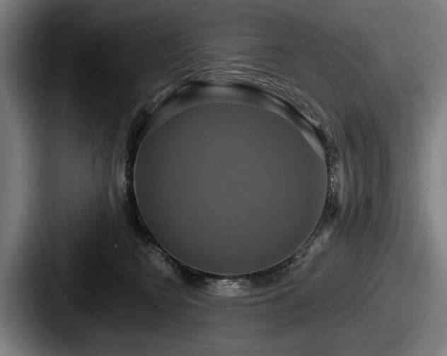 X0000087700566200705111405