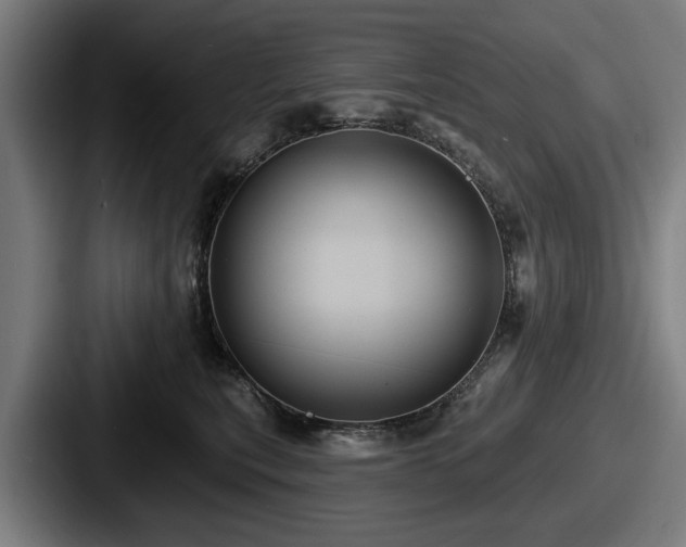 X0000087700567200705111405