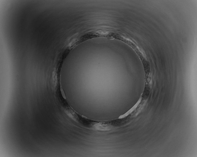 X0000087700568200705111405