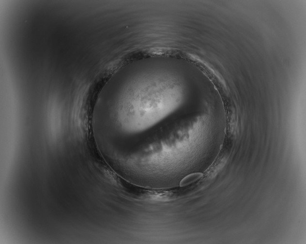 X0000087700569200705111405