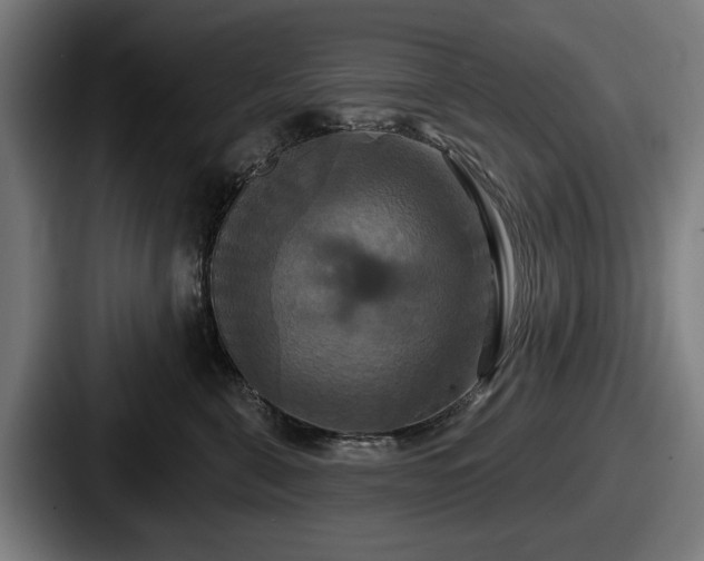 X0000087700571200705111405