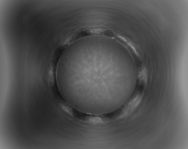 X0000087700572200705111405