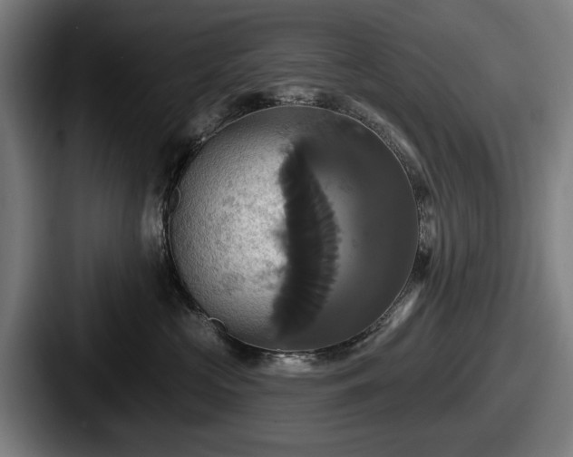 X0000087700573200705111405