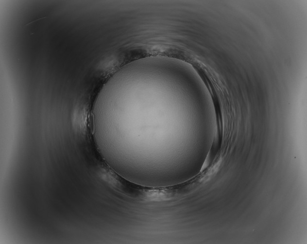 X0000087700574200705111405