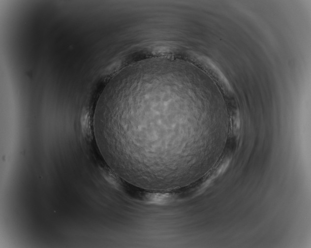 X0000087700575200705111405