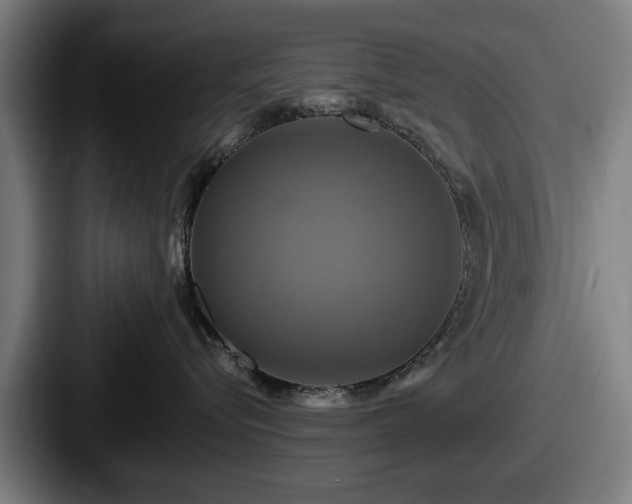 X0000087700576200705111405