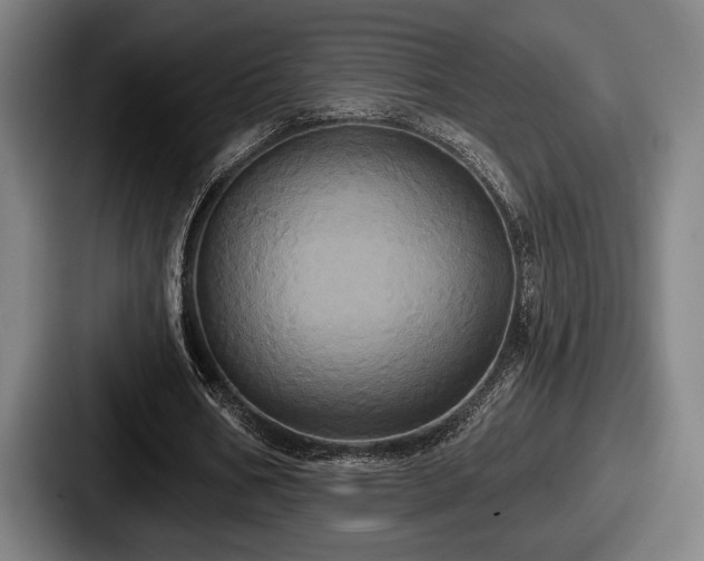 X0000087700578200705111405