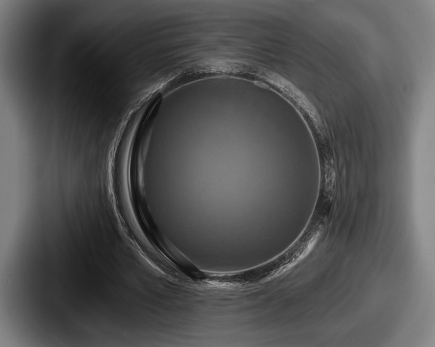 X0000087700581200705111404