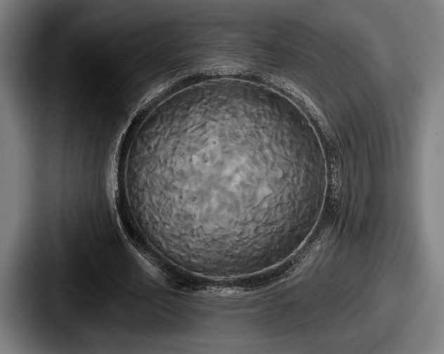 X0000087700582200705111404