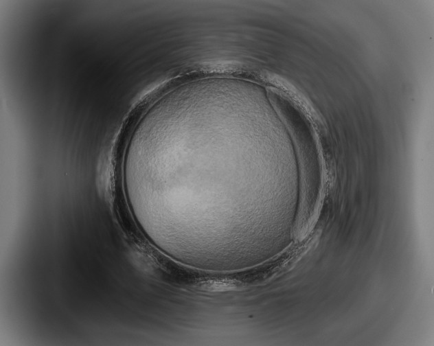 X0000087700583200705111404