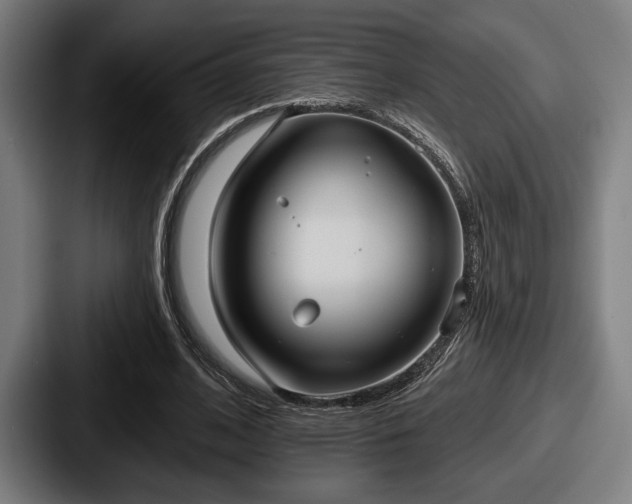 X0000087700584200705111404