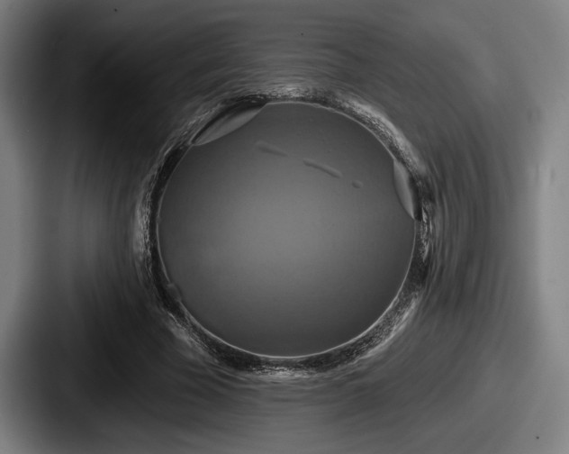 X0000087700585200705111404