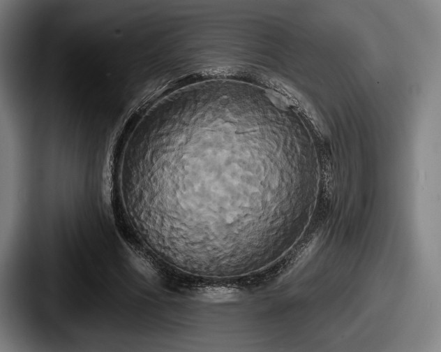 X0000087700586200705111404