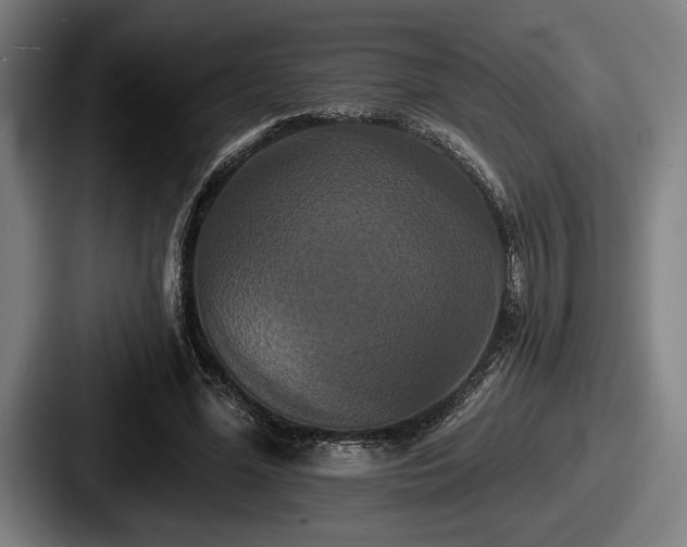 X0000087700588200705111404