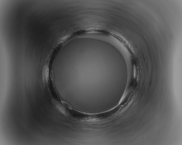 X0000087700589200705111404